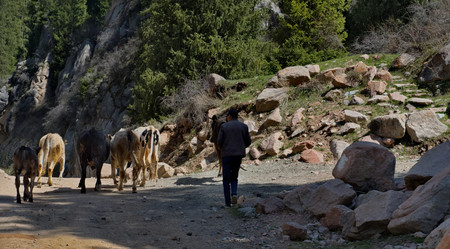 Similar image 22114526