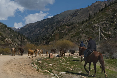 Similar image 22114527