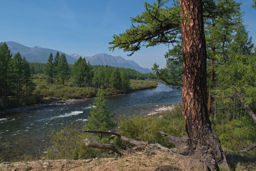 Similar image 22113195