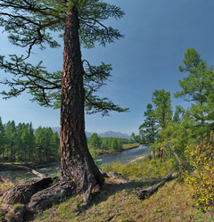 Similar image 22113196