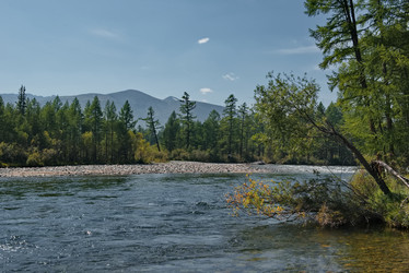 Similar image 22113197