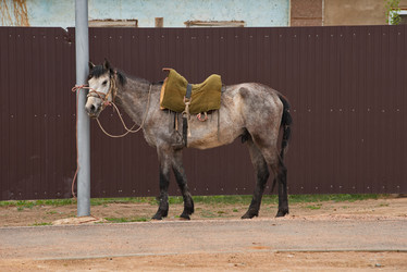 Similar image 22113198