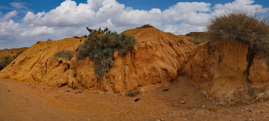 Similar image 22116940