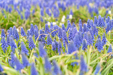 Similar image 22110146