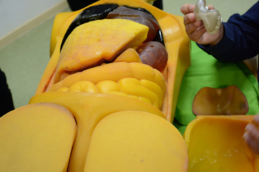 Similar image 22109525