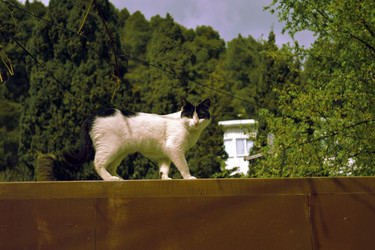 Similar image 22105958