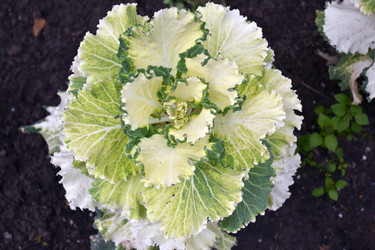 Similar image 22105962