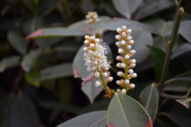 Similar image 22105964