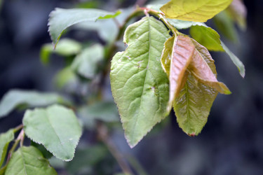 Similar image 22105965