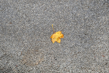 Similar image 22106545