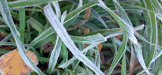 Similar image 22112878