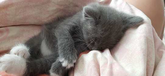 Similar image 22112884