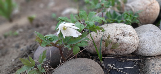 Similar image 22112893