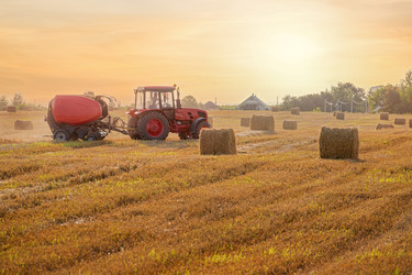 Similar image 22112698