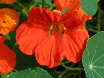 Similar image 22109010