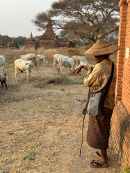 Similar image 22108926