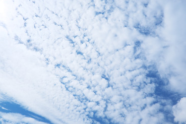 Similar image 22106433