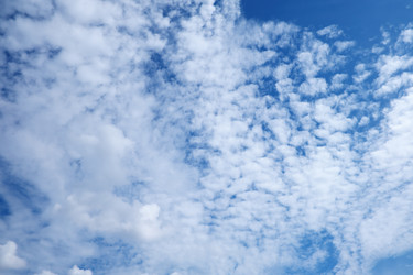 Similar image 22106436