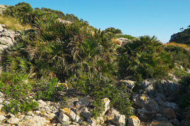 Similar image 22106584