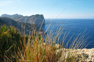 Similar image 22106587