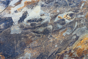 Similar image 22106100