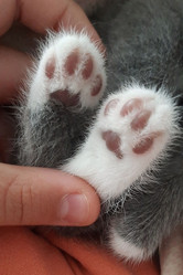 Similar image 22112923