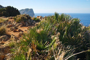 Similar image 22106593