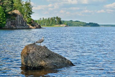 Similar image 22106612