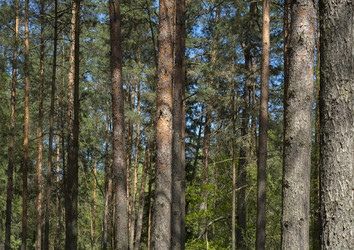 Similar image 22106614