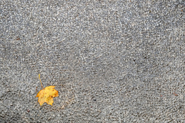 Similar image 22106619