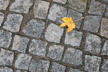 Similar image 22106622