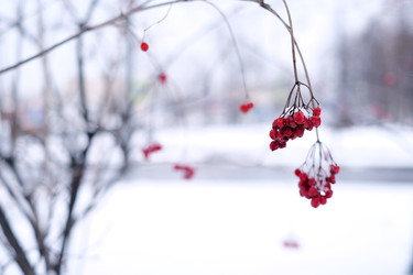 Similar image 22106629