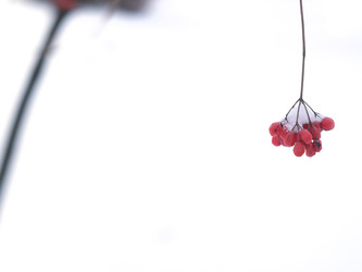 Similar image 22106639