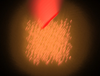 Similar image 22109758