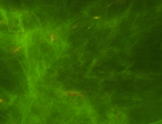 Similar image 22109772