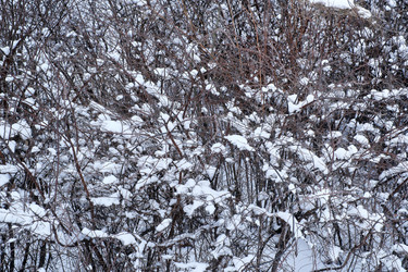 Similar image 22109028