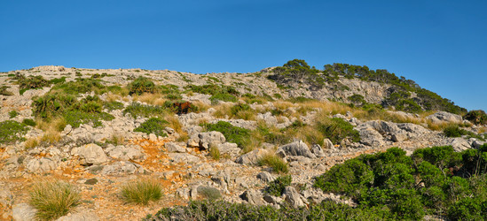 Similar image 22109047