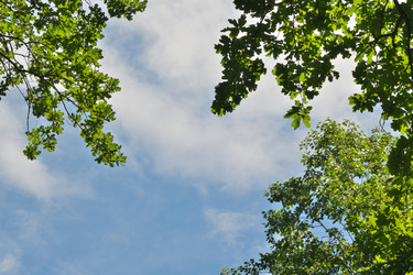 Similar image 22111032