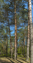 Similar image 22111220