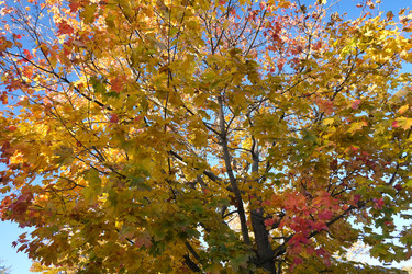 Similar image 22111222