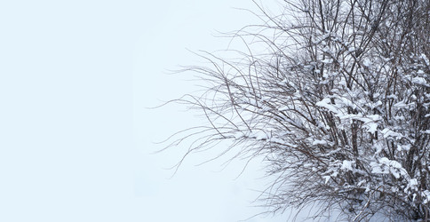 Similar image 22111228