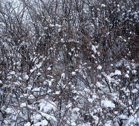 Similar image 22111229