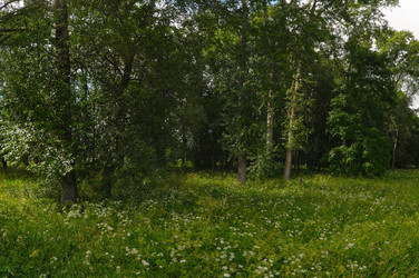 Similar image 22111233