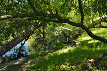 Similar image 22111234