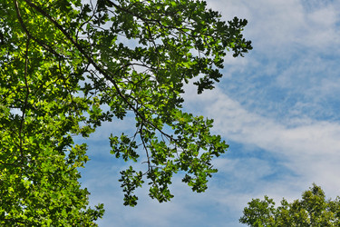 Similar image 22111237