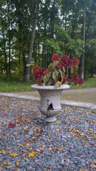 Similar image 22111242