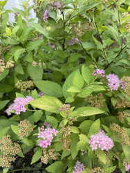 Similar image 22109062