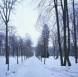 Similar image 22111243