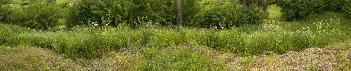 Similar image 22111245