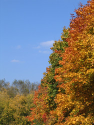 Similar image 22109064